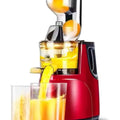 1000W Electric Juicer Fruits Cold Press Squeezer Vegetable Processor Slow Masticating Juicer Machine, DX3203