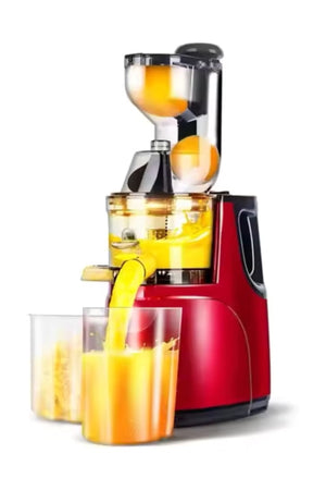 1000W Electric Juicer Fruits Cold Press Squeezer Vegetable Processor Slow Masticating Juicer Machine, DX3203