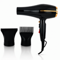 Professional Hair Dryer 3000W Black RE-3200